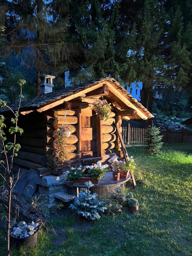 Chalet Blanc "Coeur Sapin" Courmayeur Exteriör bild