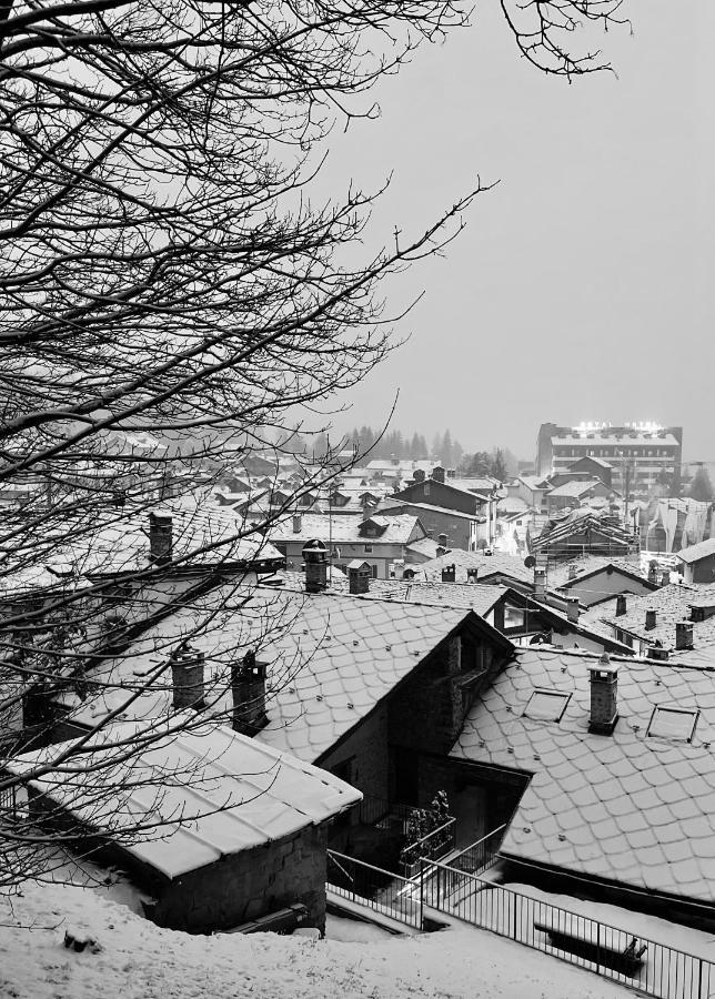 Chalet Blanc "Coeur Sapin" Courmayeur Exteriör bild